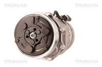 Compresor, climatizare TRISCAN, Cod: 9020 29018