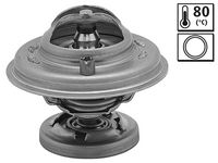 Thermostat, Kühlmittel