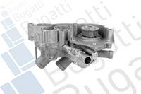 Wasserpumpe, Motorkühlung