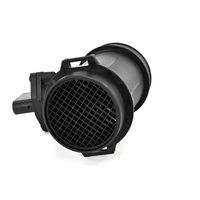 DELPHI Luchtmassameter 4