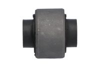 тампон, носач