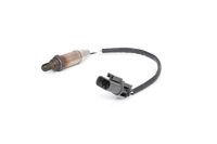 ламбда-сонда