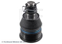 Trag-/Führungsgelenk