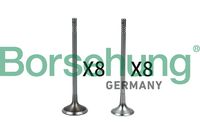 Ventilsatz, Einlass-/Auslassventil
