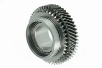 ROATA DINTATA ARBORE INTRARE CUTIE