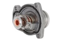 Thermostat, Kühlmittel