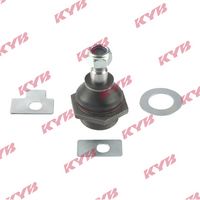 Trag-/Führungsgelenk