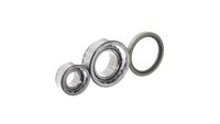 Set rulment roata SKF, Cod: VKBA 5025