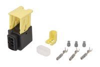 TRUCKLIGHT Stekker 2