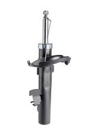 Amortizor DR!VE+, Cod: DP1610.10.0569