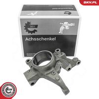 Steering Knuckle, wheel suspension