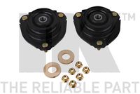 Federbeinstützlager