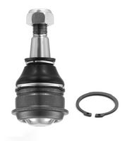 Trag-/Führungsgelenk