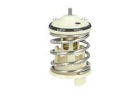 Thermostat, Kühlmittel