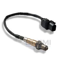 ламбда-сонда