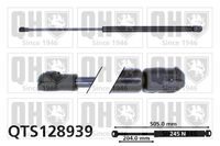 Gasfeder, Koffer-/Laderaum