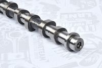 Thumbnail - Nokkenas - HV0334 - ET ENGINETEAM