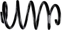 Suspension Spring