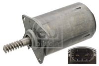 Stellelement, Exzenterwelle (variabler Ventilhub)