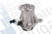 Wasserpumpe, Motorkühlung