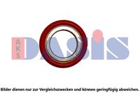 DICHTRING
