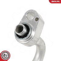 Article Picture