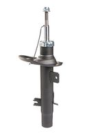 Amortizor DR!VE+, Cod: DP1610.10.0139