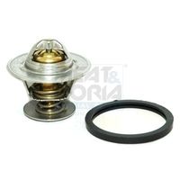 термостат, охладителна течност