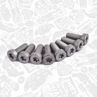 Thumbnail - Reparatieset, onderdrukpomp (remsysteem) - TM0025 - ET ENGINETEAM