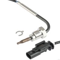 Sensor, Abgastemperatur