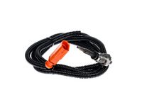 Sensor, Abgastemperatur
