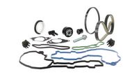 Set curea de distributie SKF, Cod: VKMA 03306-2