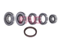 Reparatursatz, Differential