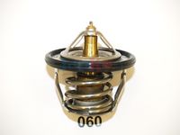 термостат, охладителна течност