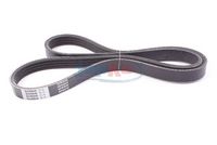 Curea transmisie cu caneluri JAPKO, Cod: 4PK945
