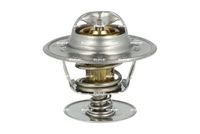 Thermostat, Kühlmittel