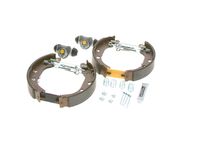 BOSCH Remschoenset 6