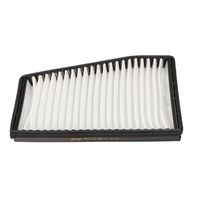 Филтър купе (поленов филтър)