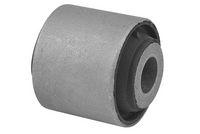 Mounting, control/trailing arm