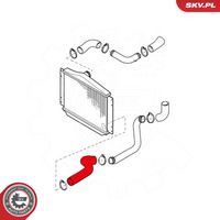 Article Picture