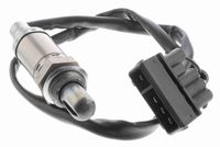 ламбда-сонда