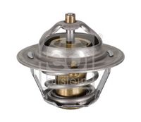Thermostat, Kühlmittel