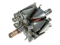 Rotor, alternator