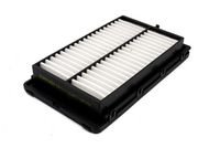 Gaisa filtrs DP1110.10.0835 Dr