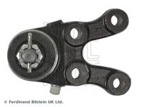 BLUE PRINT Fuseekogel 1