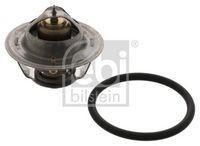 Thermostat, Kühlmittel