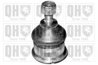 Trag-/Führungsgelenk