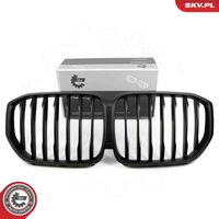 Radiator Grille