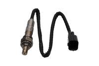 ламбда-сонда