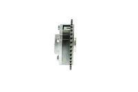 ELEMENT DE REGLARE ARBORE EXCENTIRC (CURSA VARIABILA VENTIL